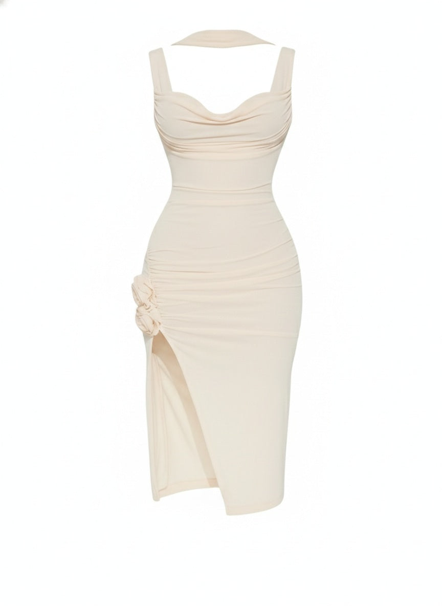Denisa Mesh Midi Dress